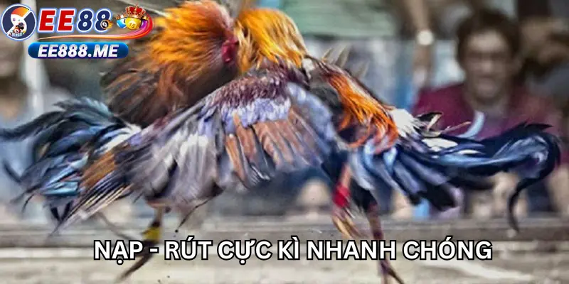 Nạp - rút cực nhanh