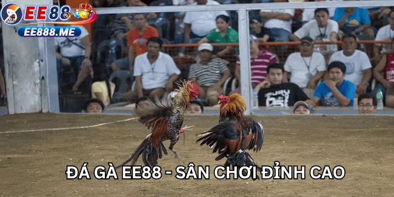 Giới thiệu sân chơi đá gà ee88