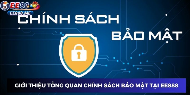 Giới thiệu tổng quan chính sách bảo mật tại ee88