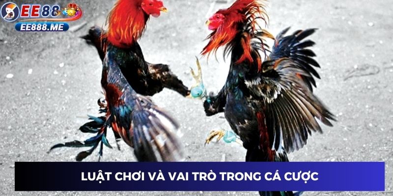 Luật chơi và vai trò trong cá cược