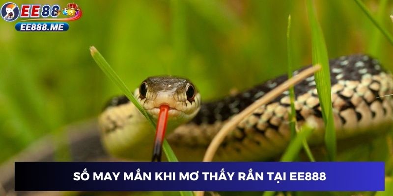 Số may mắn khi mơ thấy rắn tại ee88