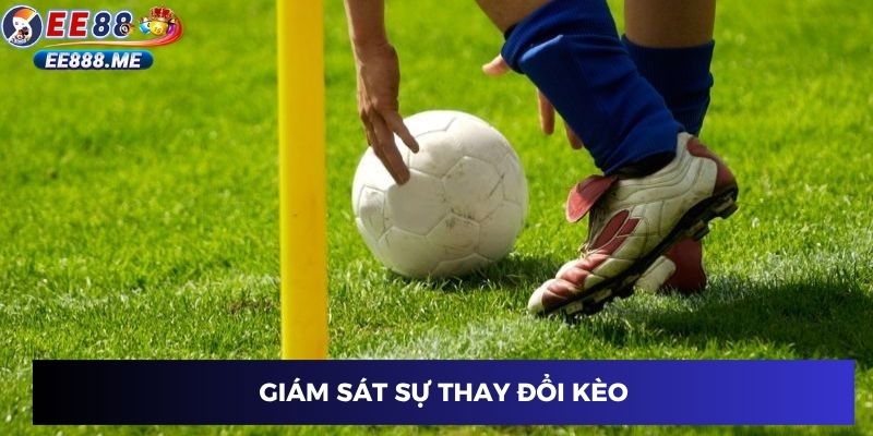 Giám sát thay đổi kèo ee88