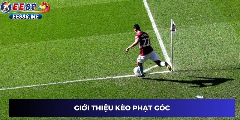 Các loại cược phạt góc
