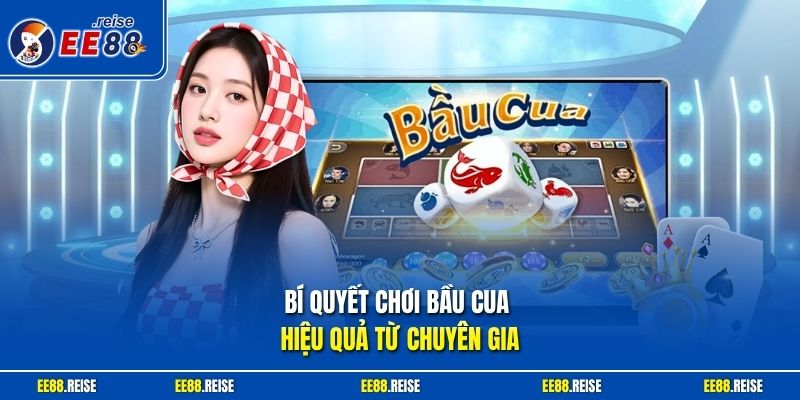 Bí quyết chơi bầu cua hiệu quả từ chuyên gia