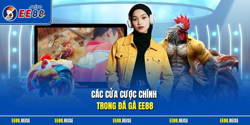 Các cửa cược chính trong đá gà EE88