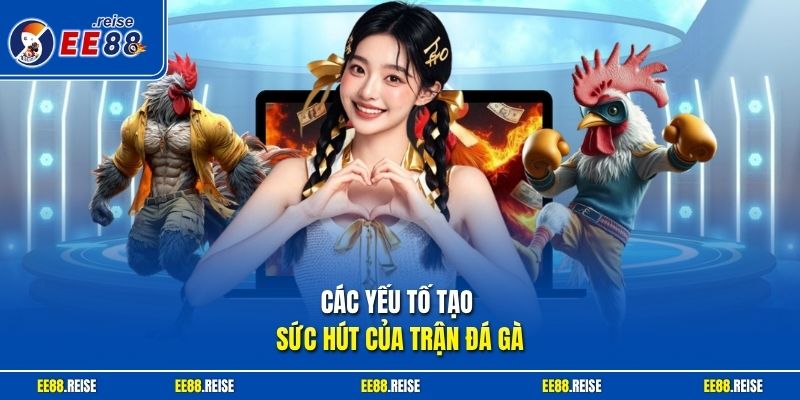 Các yếu tố tạo sức hút của trận đá gà