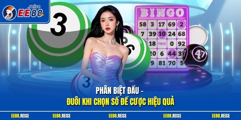 Phân biệt đầu - đuôi khi chọn số để cược hiệu quả